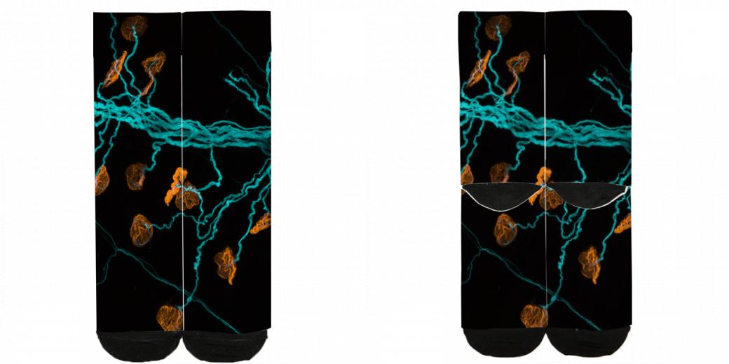 Custom Dress Socks